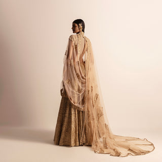 back view of Women's embellished golden lehenga set with sheer dupatta and keyhole back – handcrafted bridal couture, golden lehenga, bridal couture