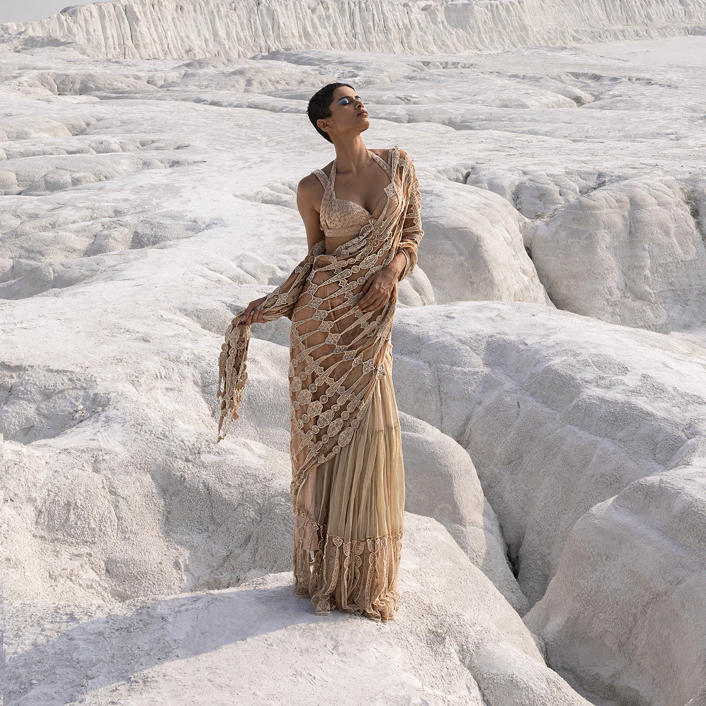 Tissue Chanderi saree with cutwork and 3D blouse – modern Indian designer saree, pre-pleated draped saree