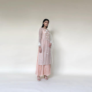 Organza silk kurta with fine Gresham and velvet applique embroidery embellished with pearl and katdana. There is separate crinkled voile inner that gives the style a layered look. Elegance and delicate details are the main focus of the look. Abhishek Sharma, abhishekstudio