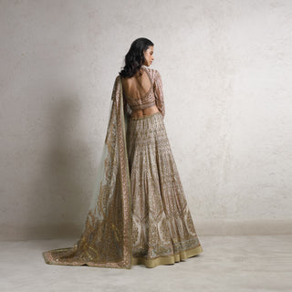 back view of Women's bridal lehenga with open back blouse and embellished dupatta – regal vintage-inspired couture for weddings, vintage couture, wedding outfit