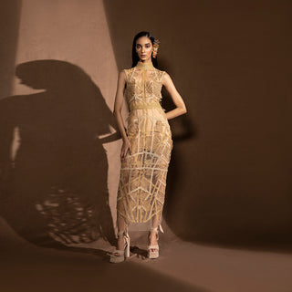 full length of Women's gold sleeveless embroidered dress with sheer overlay and choker neck – modern calf-length party look, youngster cocktail wear