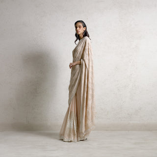 full length side shot of Women's blush net chikankari saree with floral jaali embroidery and flared pleated hem – heritage-inspired silhouette for cultural festivities