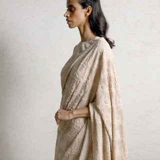upperbody side shot of Women's blush chikankari saree with intricate jaali embroidery and scalloped border – refined artisanal piece for festive and cultural wear