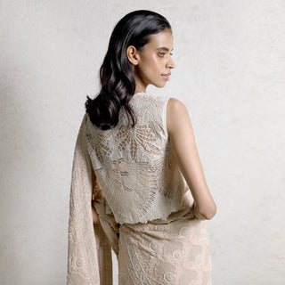 upperback view of Women's chikankari saree with circular jaali motifs paired with embroidered leaf-pattern blouse – detailed artisanal couture for festive wear